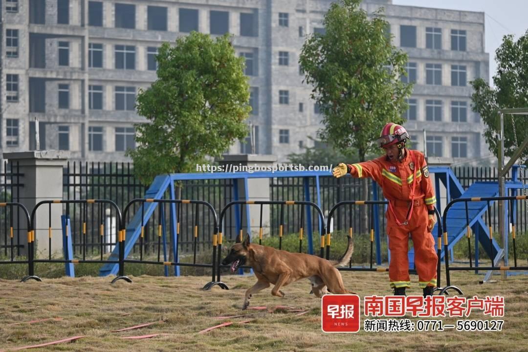 上海鹰队与对手在洲际球场上展开激烈角逐！