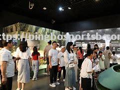 赛事收视率节节攀升，观众热情高涨